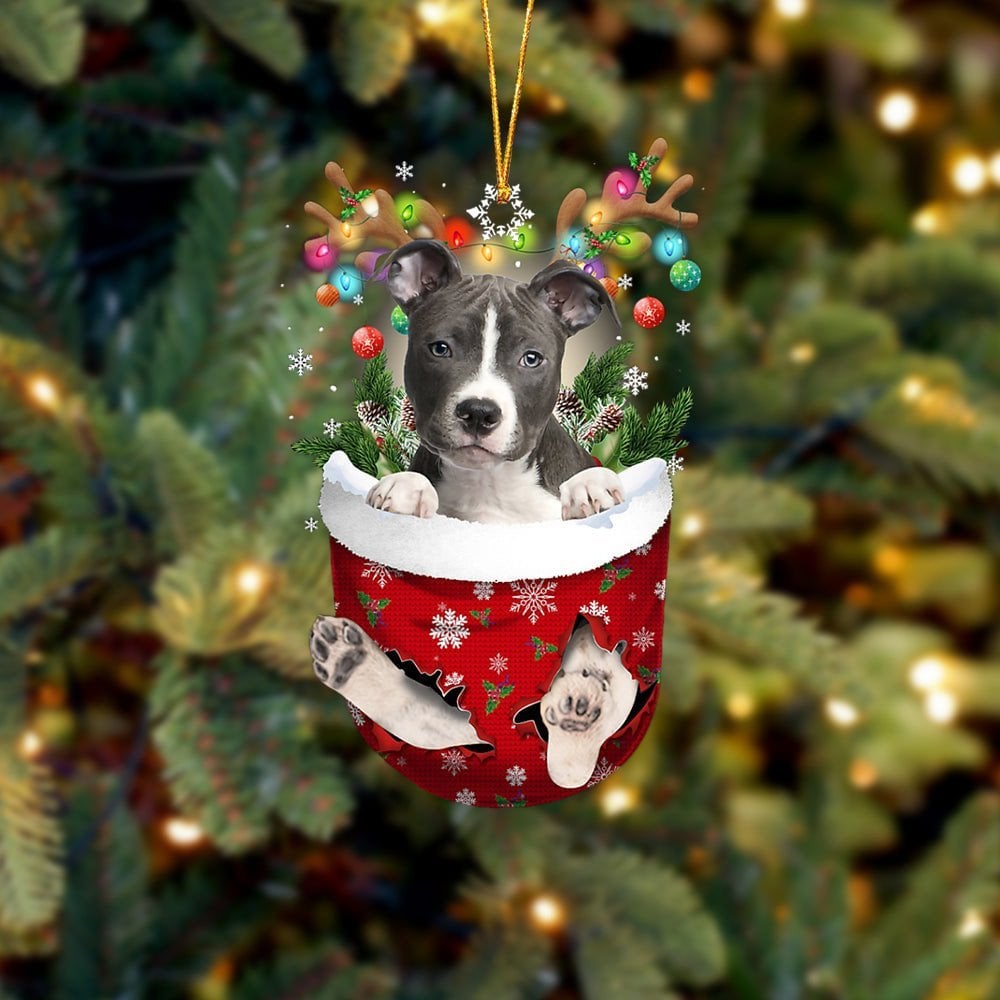 BLUE Nose Pitbull In Snow Pocket Ornament