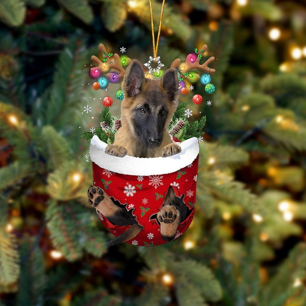 Belgian Tervuren In Snow Pocket Ornament