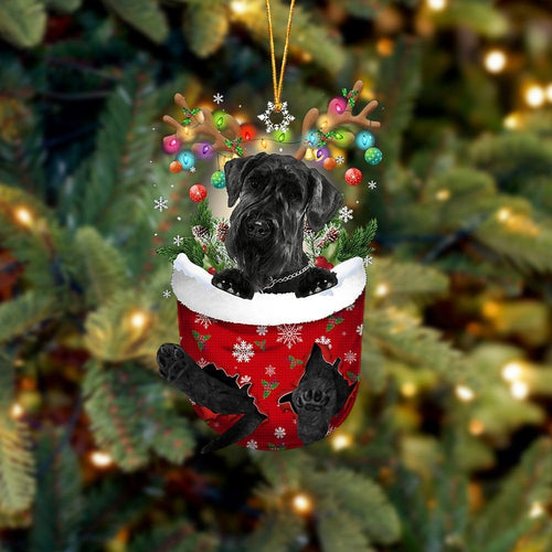 Giant Schnauzer In Snow Pocket Ornament